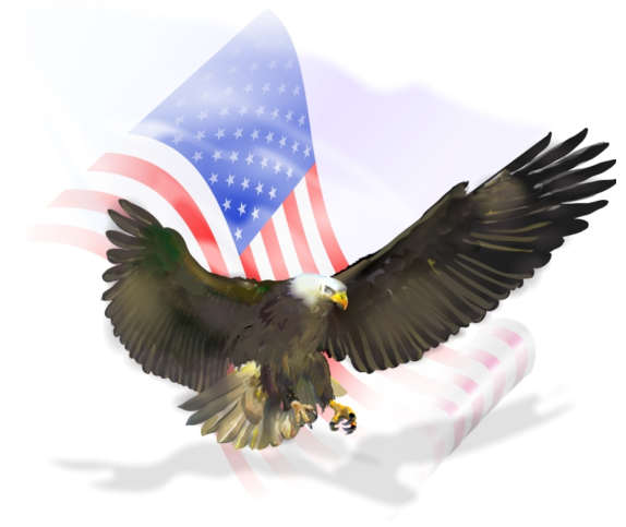 usaeagleflag.jpg